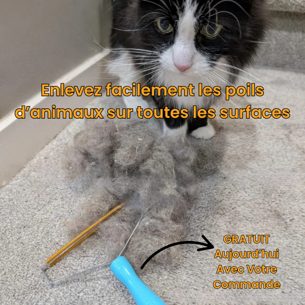 Tondeuse Vétérinaire Ultra-Silencieuse – Chien & Chat