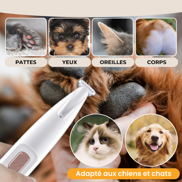 Tondeuse Vétérinaire Ultra-Silencieuse – Chien & Chat