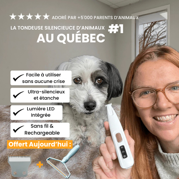 Tondeuse Vétérinaire Ultra-Silencieuse – Chien & Chat