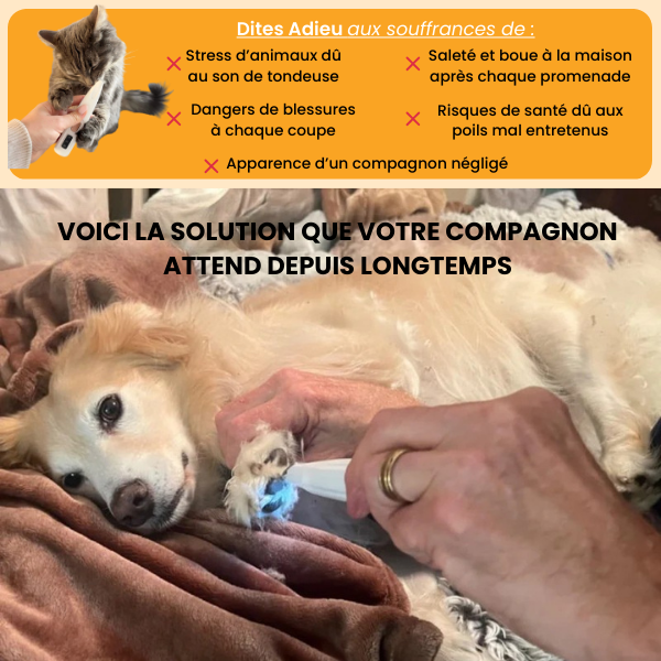 Tondeuse Vétérinaire Ultra-Silencieuse – Chien & Chat