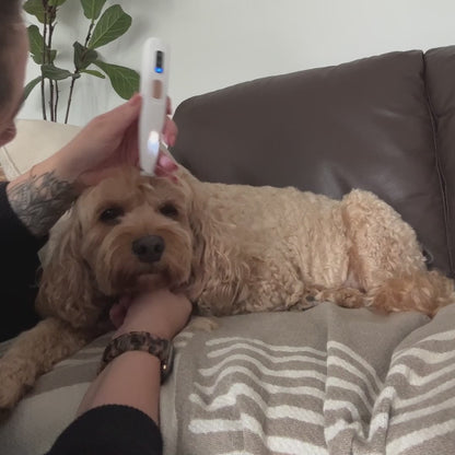 Tondeuse Vétérinaire Ultra-Silencieuse – Chien & Chat